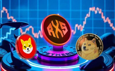 Dogecoin and Shiba Inu look like bad investments – analysts believe these 2 tokens could be a better bet