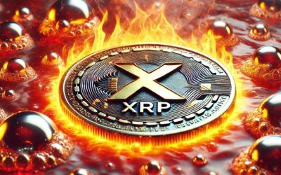 XRP’s Legal Status Unshaken Amid SEC Appeal – Ripple Prepares Counterstrike