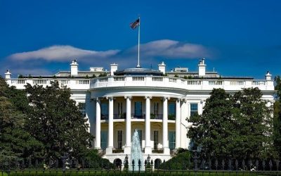 Donald Trump’s transition team considering first-ever White House crypto office