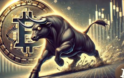 Crypto Bull Market Arrives: Analysts Say ‘Buy Everything You Can’