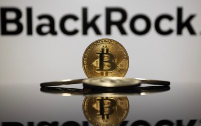 Blackrock Exec Debunks Bitcoin Myths: ‘It’s Not a Risk-on Asset’