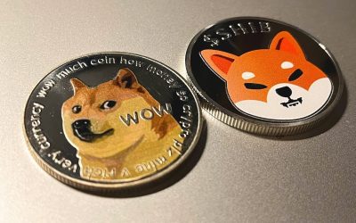 Dogecoin and Shiba Inu Pumping as Bitcoin Passes $75K, Flockerz Could Explode Next