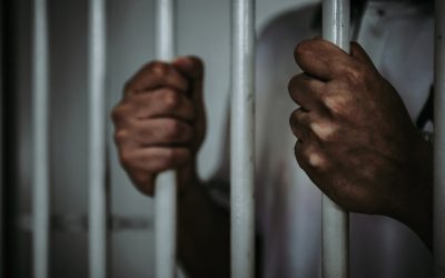 Nigerian Crypto Industry Players Applaud Proposal to Jail Ponzi Operators