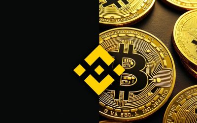 Onchain Analyst: Binance Taps Cold Wallet Reserves as Bitcoin Outflows Spike