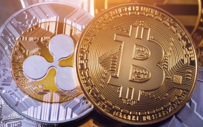 Ripple CEO Calls for National Crypto Reserve Beyond BTC and XRP