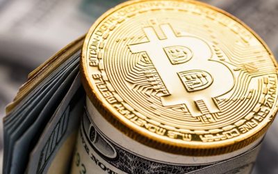 Fold Holdings Expands Bitcoin Treasury to 1,010 BTC With New Purchase