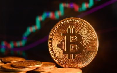 Bitcoin ETFs Continue Upward Trend With 8th Day of Successive Inflows