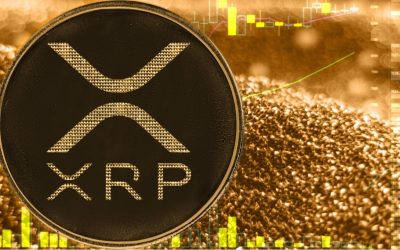 Ripple CEO Confident XRP Poised for US Crypto Stockpile and ETF Approval