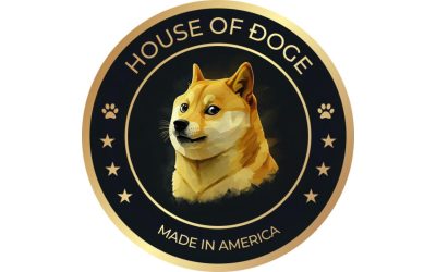 Dogecoin sees March 2025 whale surge as price nears $0.25