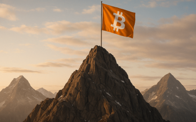 Will a 70% to 80% Bitcoin Slide Shake out New Entrants?
