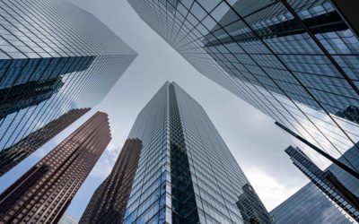 Institutional Rush: 5% Is the New 1% for Crypto Portfolios, Says Bitwise