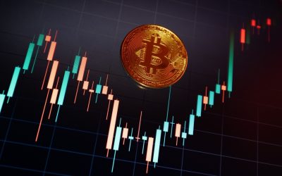 Blackrock Powers Bitcoin ETF Gains Despite Big Outflows From Rivals