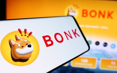Solana Treasury Company DeFi Development Corp. Partners With BONK Memecoin to Launch Validator Node