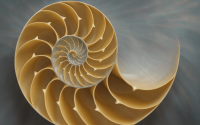 Fibonacci Retracement: A Trader’s Compass in the Bitcoin Market