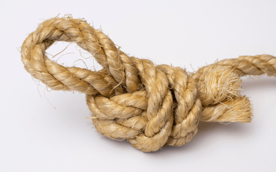 Spam Fight Heats Up: Bitcoin Knots Node Count Rises 49% in April