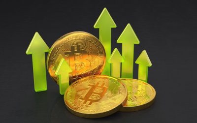 Bitcoin ETFs Record 8th Straight Inflow Day With $390 Million Surge