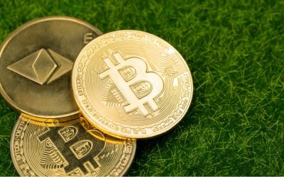 Bitcoin ETFs Roar Back After Three-Day Dip as Ether ETFs Extend Inflow Streak to Twelfth Day
