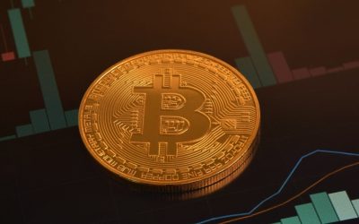 Bitcoin ETFs Stay Hot With Half-Billion Dollar Inflow