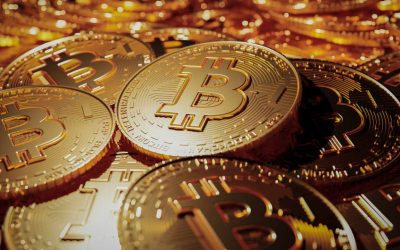Bitcoin’s Main Rival Is US Treasuries, Not Gold, Says Bitwise CEO