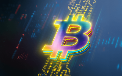Corporate Bitcoin Holdings a ‘Blessing’ Now, Challenge Later, Says Roxom CEO
