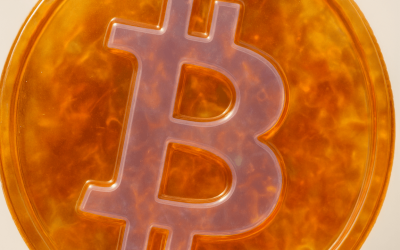 Bitcoin Price Watch: Bulls Defend Key Support as Momentum Cools