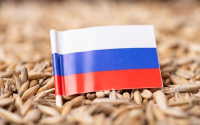 Russia Considers Crypto for Settling Grain Exports