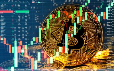 Will BCH rally above $500 soon