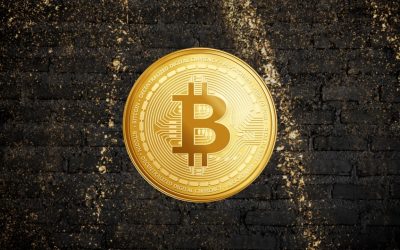 Blackrock Powers Bitcoin ETFs to 15th Straight Inflow Day