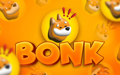BONK rallies 10% to outperform other major cryptos; check forecast