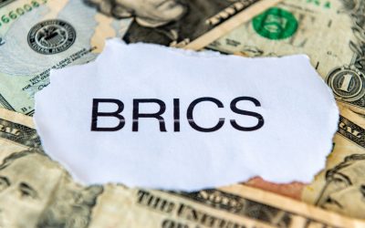 Brazil’s Ambassador to India Addresses BRICS Currency Speculation