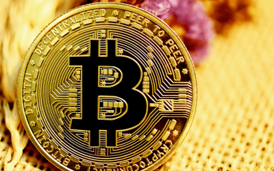 Bitcoin Smashes Through $117K on Bitstamp