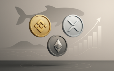 BNB and XRP whale volumes surge as traders track hidden accumulation signals
