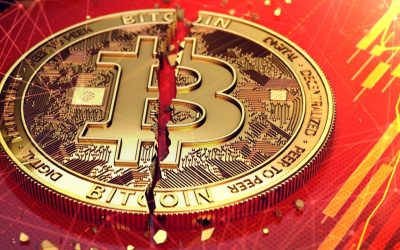Warning: Expert Assesses Bitcoin Might Experience an Argentine Split