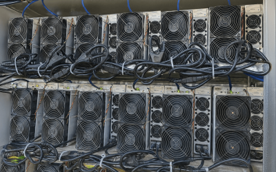 Inside the Powerhouse: The 50 Most Profitable Bitcoin Miners, Aug. 9-10, 2025