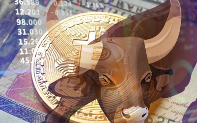 No Bear Market in Sight? Bitcoin’s Bull Run May Stretch for Years