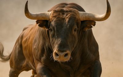 Bitwise CIO Sees 3 Bullish Crypto Opportunities With Massive Upside Ahead
