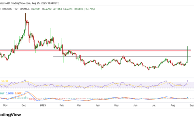 Ontology price skyrockets 55% to hit six-month high