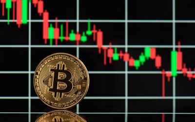 Traders eye $117k as BTC holds above $110k; Check forecast