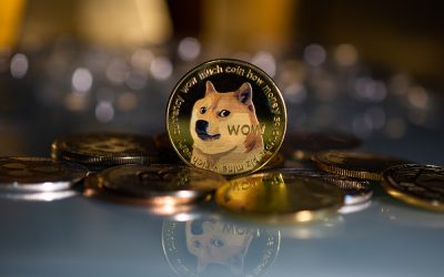 DOGE to rally to $0.3 if $0.22 support holds