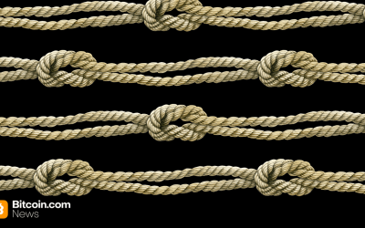 From Peak to Plunge: Bitcoin Knots Loses Nearly a Third of Its Nodes Since Sept. 14