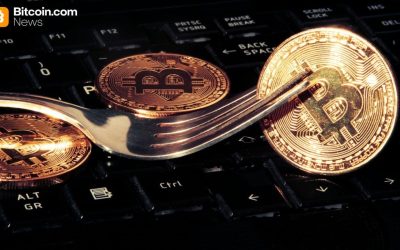 Knots Developer Luke Dashjr Plans Hard Fork To ‘Save Bitcoin’