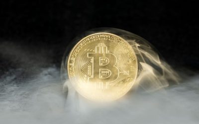 Latam Insights Encore: Schrödinger’s Bitcoin Purchases? El Salvador Should Issue Clarification