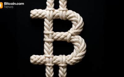 Bitcoin Pioneer Nick Szabo Urges Users to ‘Run Knots’ and Skip Core v30