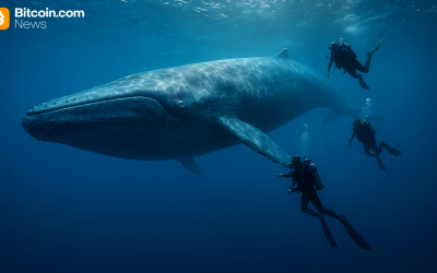 Bitcoin Whale’s $300M Transfer Sparks Speculation After Kraken Hot Wallet Transaction Goes Viral