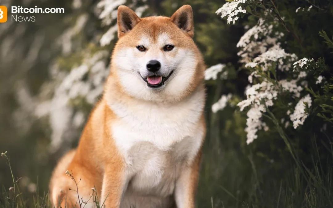 Bitwise Debuts Dogecoin ETF on NYSE With Fee Incentives and Mainstream Appeal