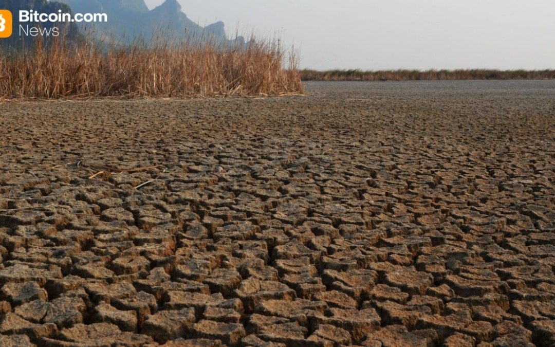 Mike McGlone’s Scorched Earth Prediction: $56K Bitcoin in the Horizon