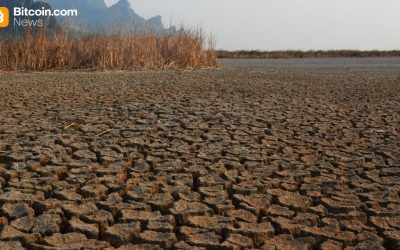 Mike McGlone’s Scorched Earth Prediction: $56K Bitcoin in the Horizon