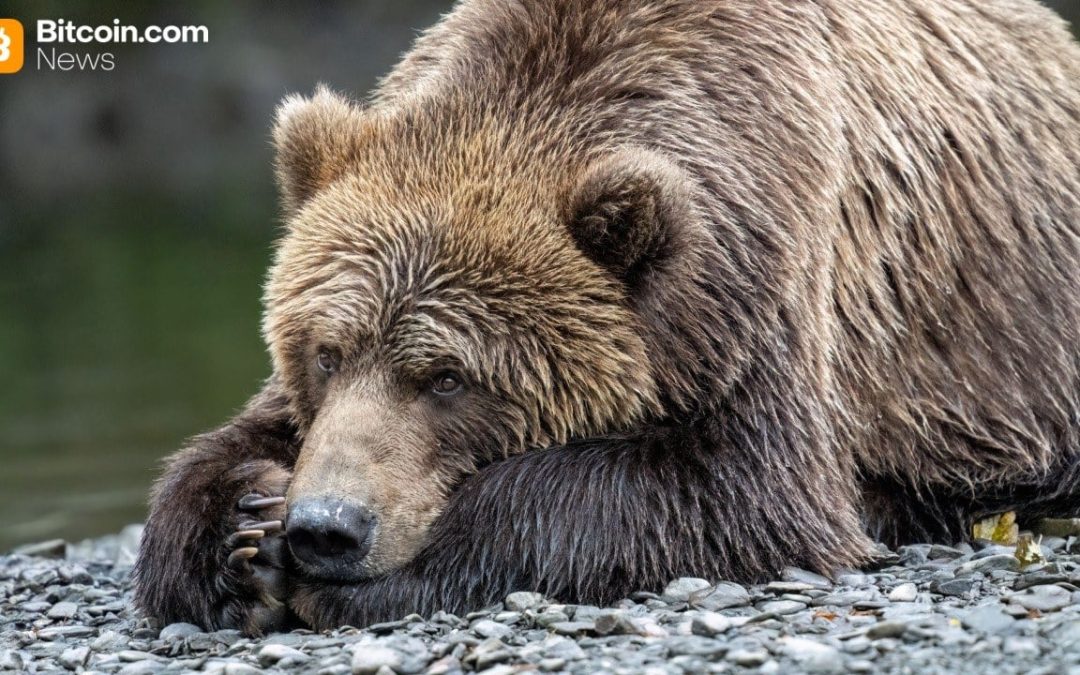 Van Eck: Investors Shed Bitcoin Bracing for a Bearish 2026