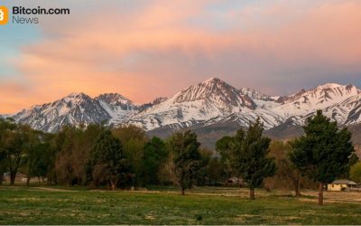 Avalanche’s RWA Ecosystem Strengthened: Liquidity Yield Token Offers Risk-Adjusted Returns with Zero Lockups