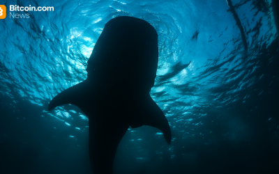 Onchain Analyst: Long-Sleeping Bitcoin Whale Resurfaces, Shifting 2,300 BTC to Paxos Wallet
